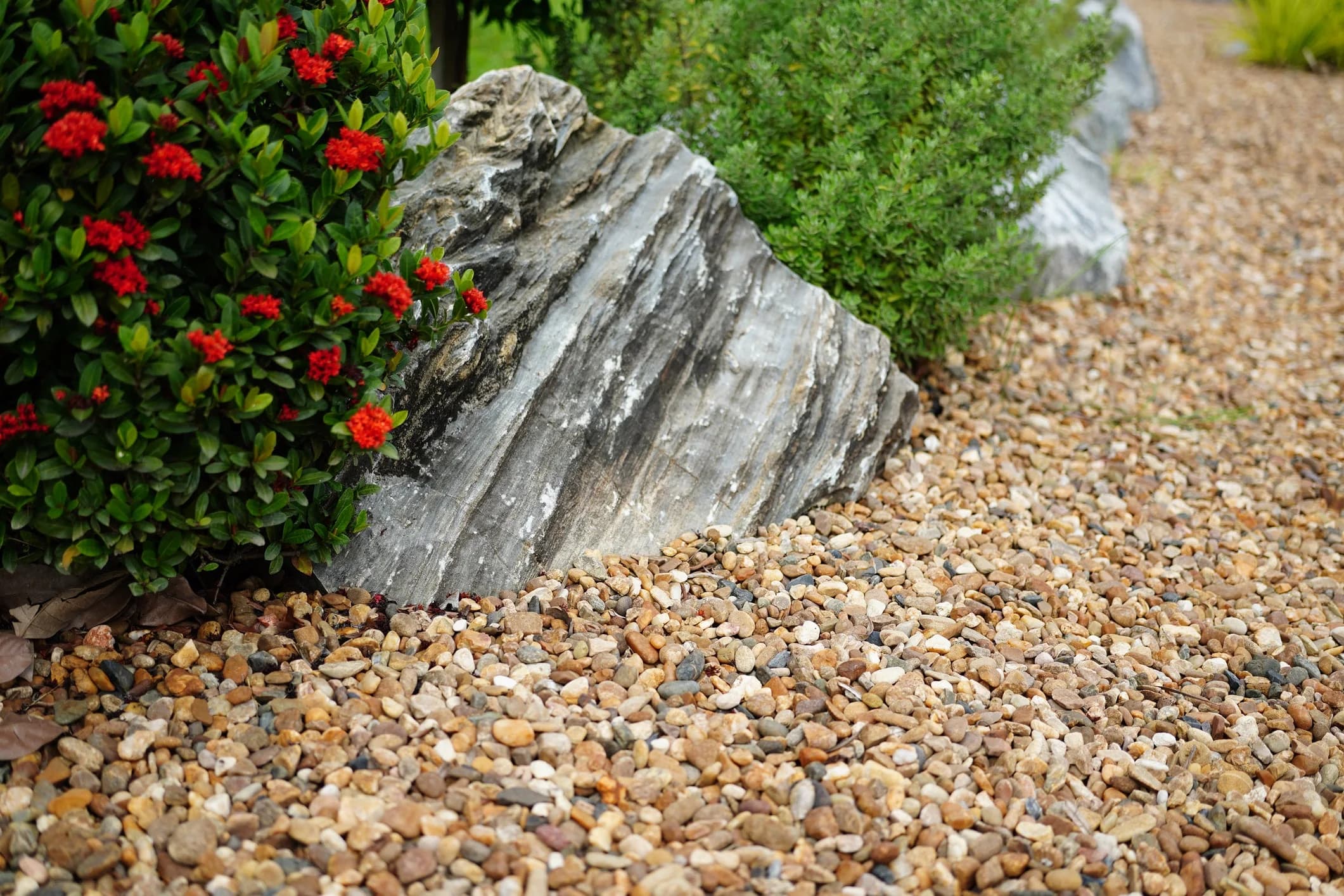 Decorative gravel pathway in a garden setting