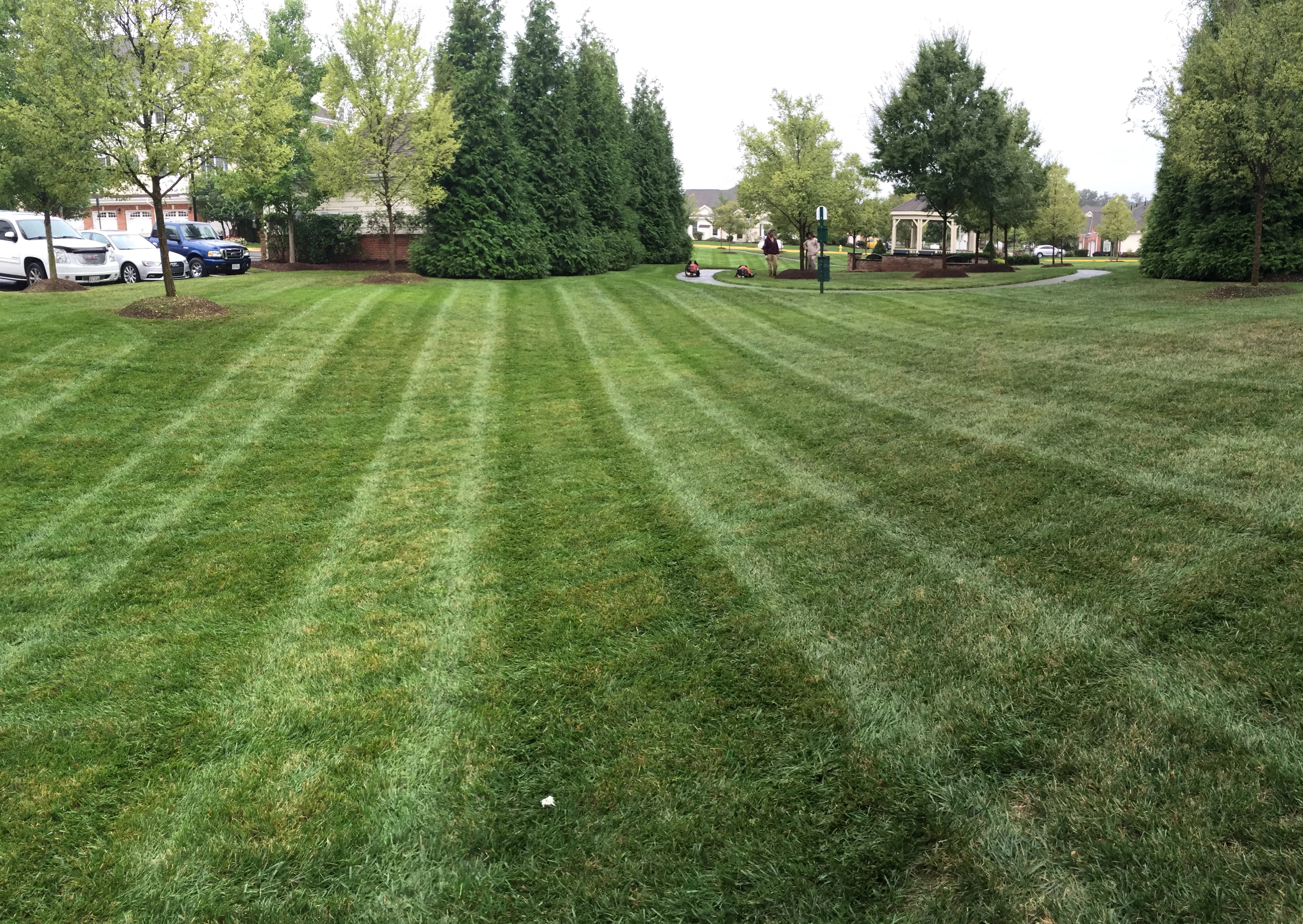 Edge trimming detail