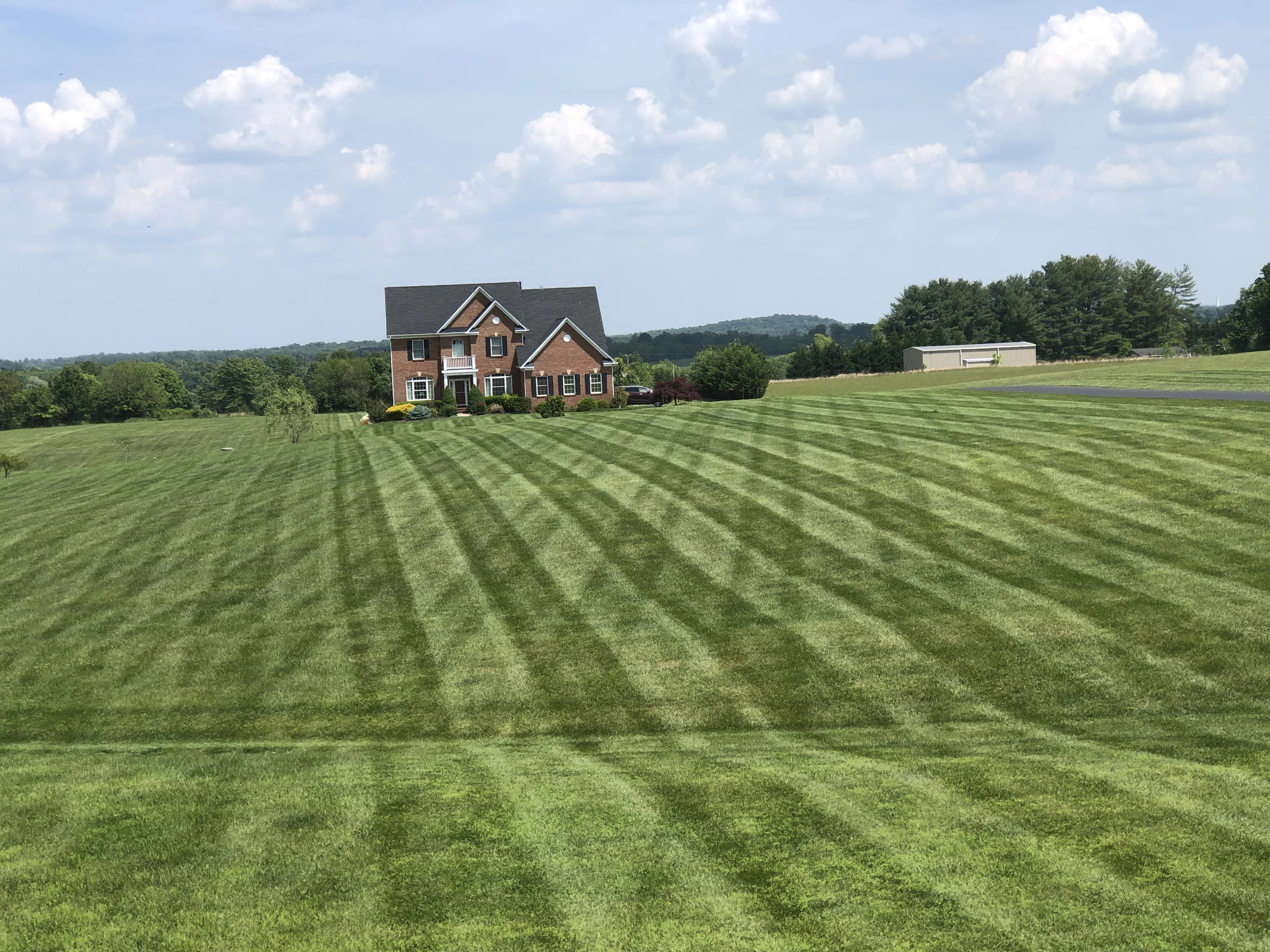 Fall lawn cleanup