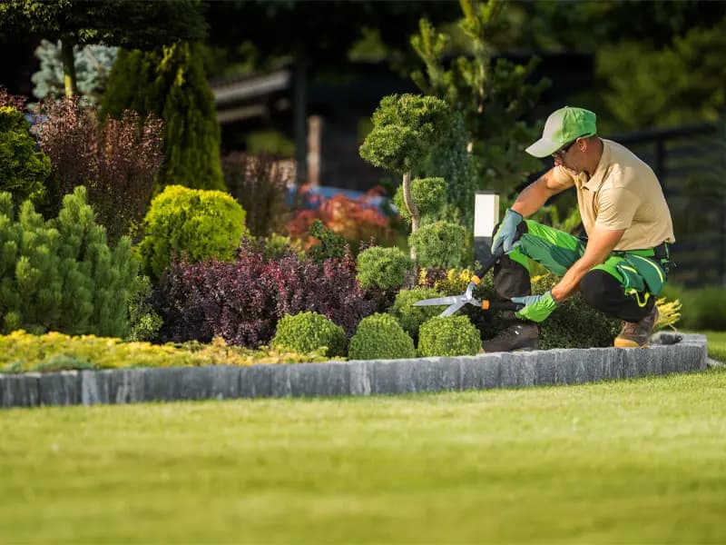 Manicured lawn with crisp edges