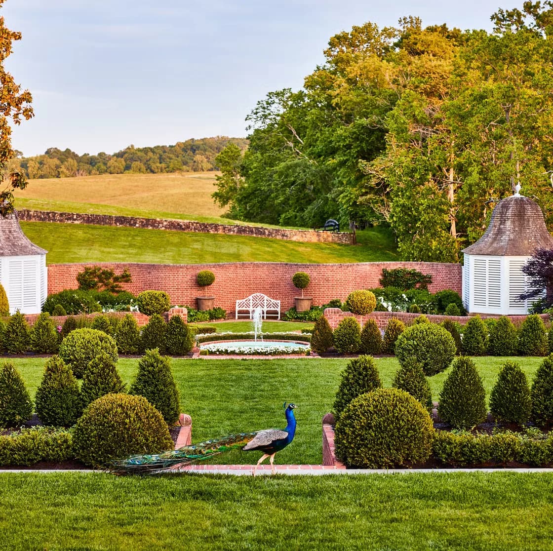 Completed lawn restoration in Leesburg