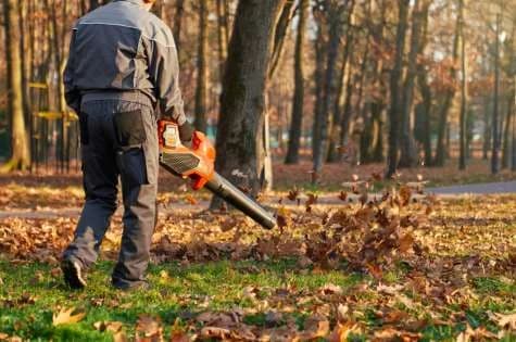 Yard cleared of fallen leaves and debris