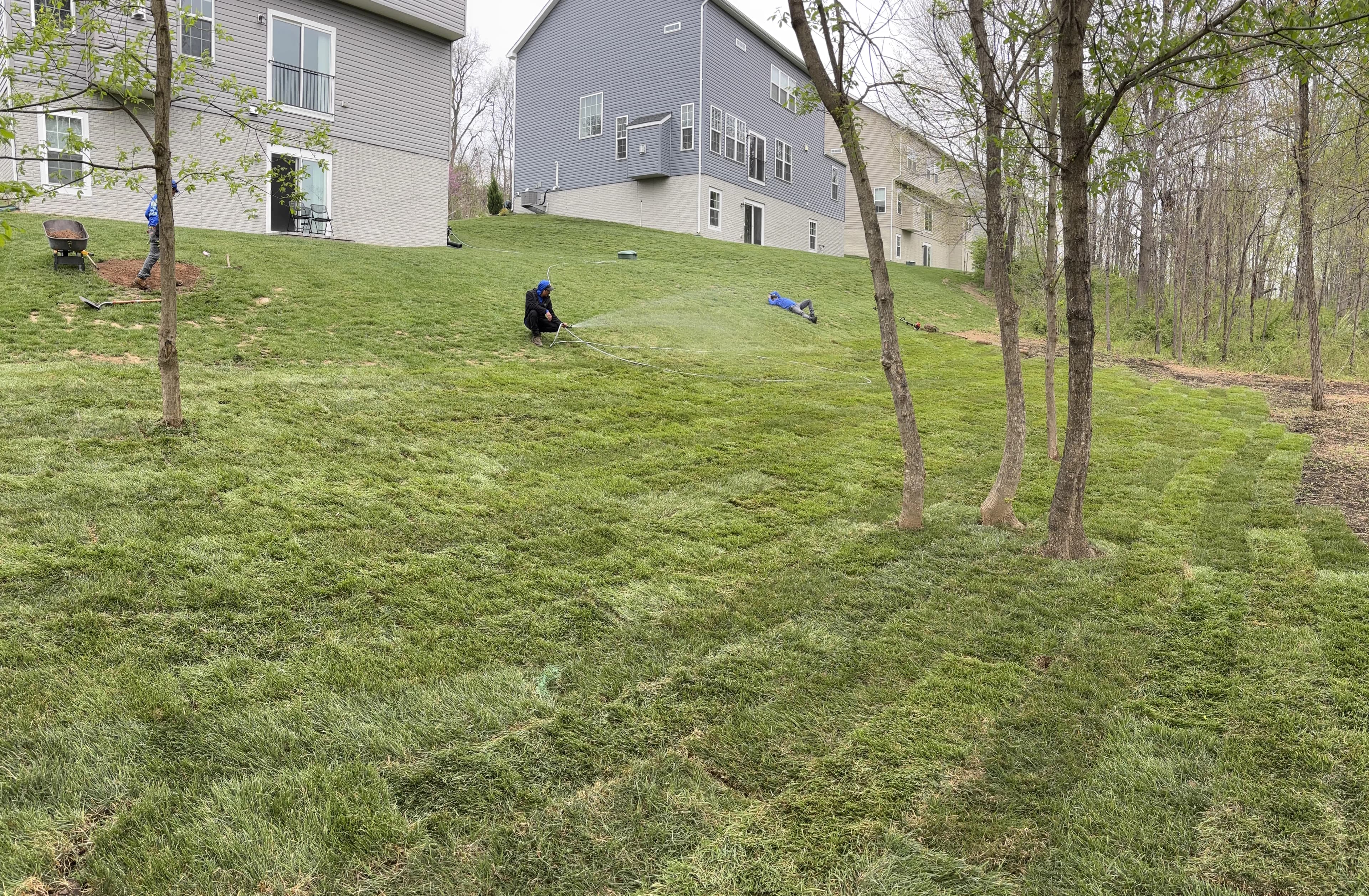 Core aeration treatment on a healthy lawn